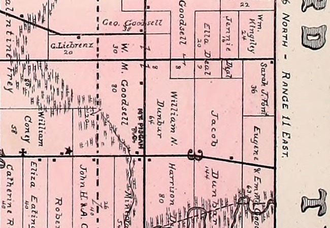 A detail from an 1893 township plat, printed in pink, showing a grid of farm parcels with each owner's name and acreage written across it. Along a road running north and south, set sideways in bold capitals, the words MT. PISGAH with P O beneath them. The names around it read W. M. Goodsell 80, William N. Dunbar 64, Geo. Goodsell 38, Jacob Dunbar 144 and Wm. Kingsley 24. A star marking a school stands a short distance to the west. No town lots or streets are drawn anywhere near the name.